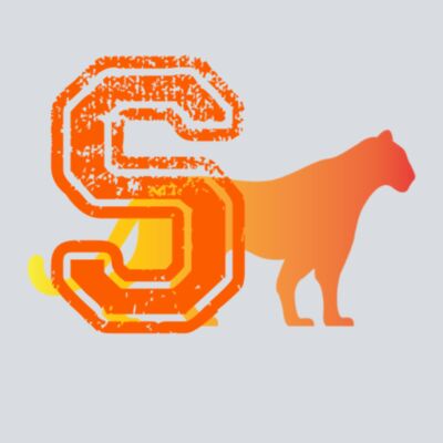 S and Logo - Orange  Thumbnail